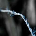 Проволока для забора